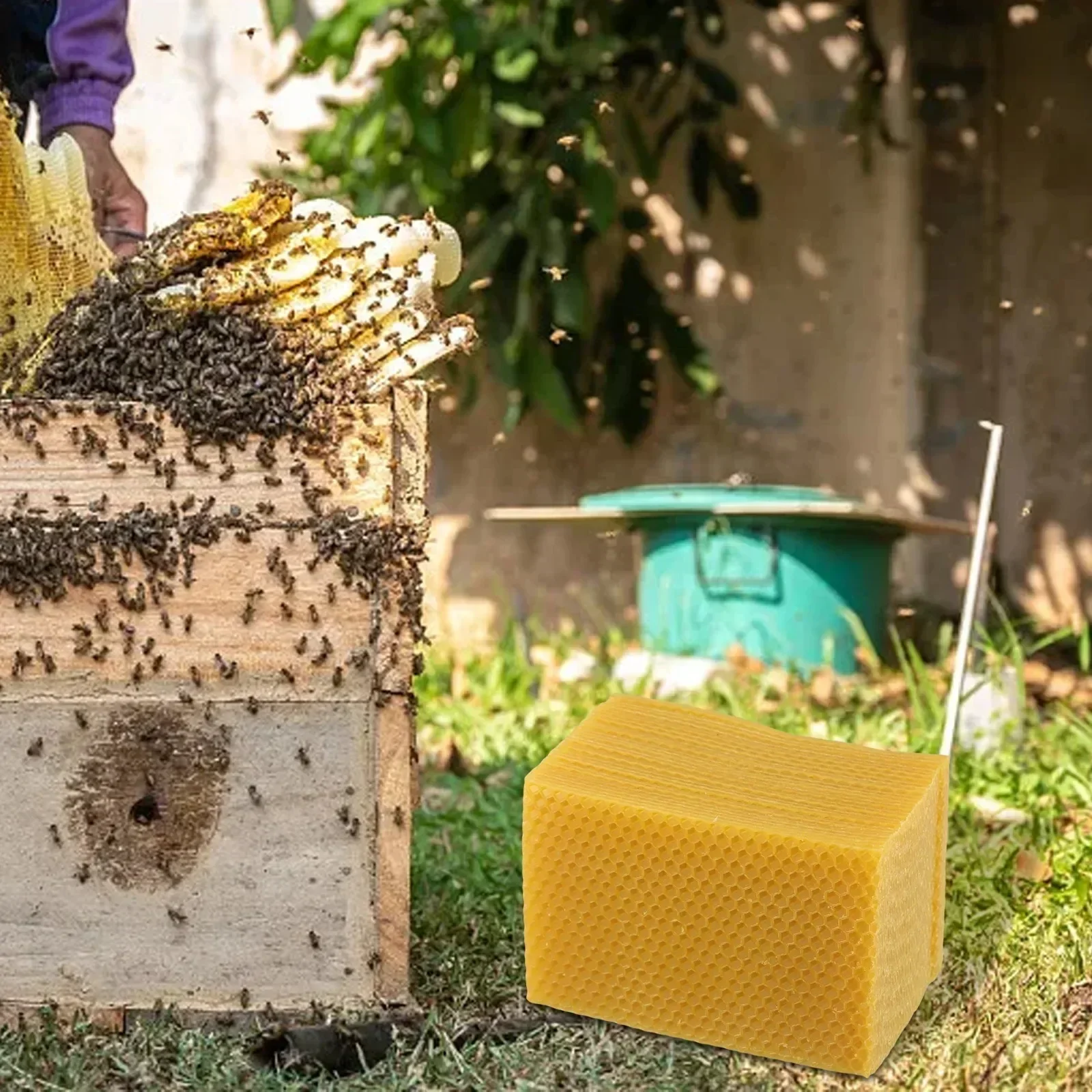 Beehive Supplies Beehive Found - Beeswax Sheet Roll ulasan dan harga