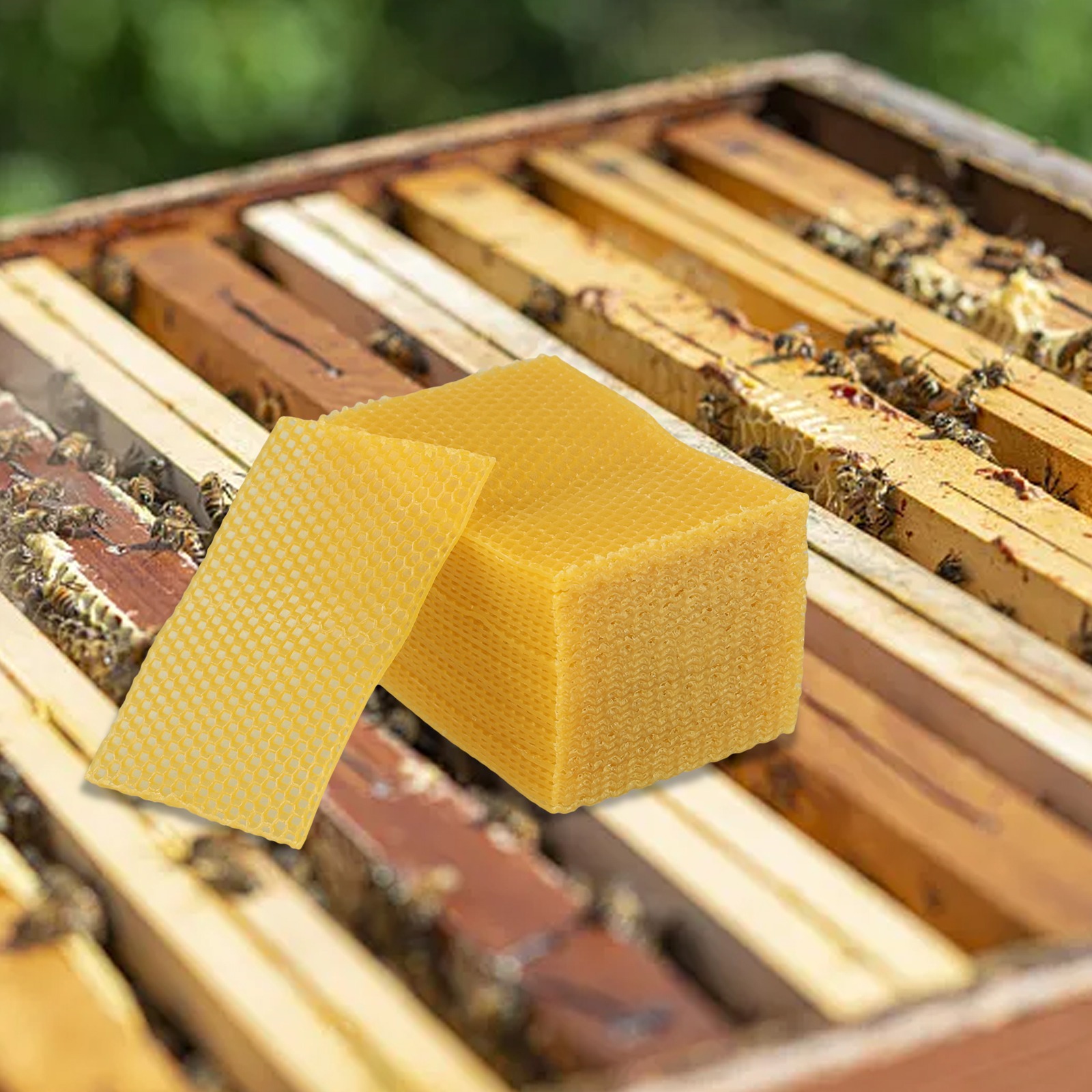 5.24 X 3.54 Beehive Foundation - Beeswax Sheet Roll ulasan dan harga